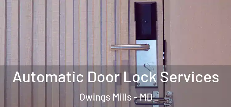 Automatic Door Lock Services Owings Mills - MD