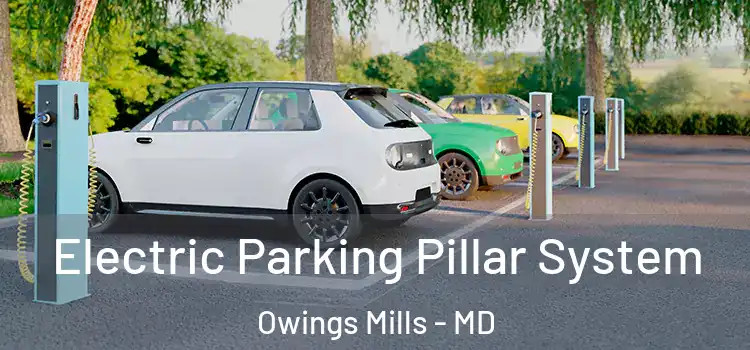  Electric Parking Pillar System Owings Mills - MD