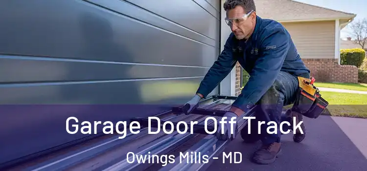  Garage Door Off Track Owings Mills - MD