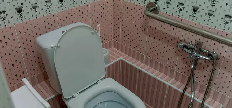 Meeting Diverse Needs With Accessible Restroom Solutions in Owings Mills, MD