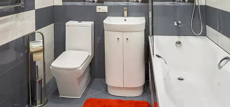 Hansgrohe Shaving Mirror Owings Mills