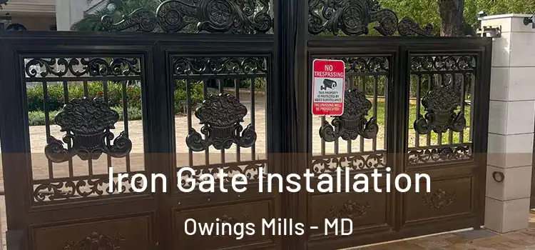 Iron Gate Installation Owings Mills - MD