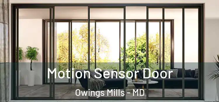 Motion Sensor Door Owings Mills - MD
